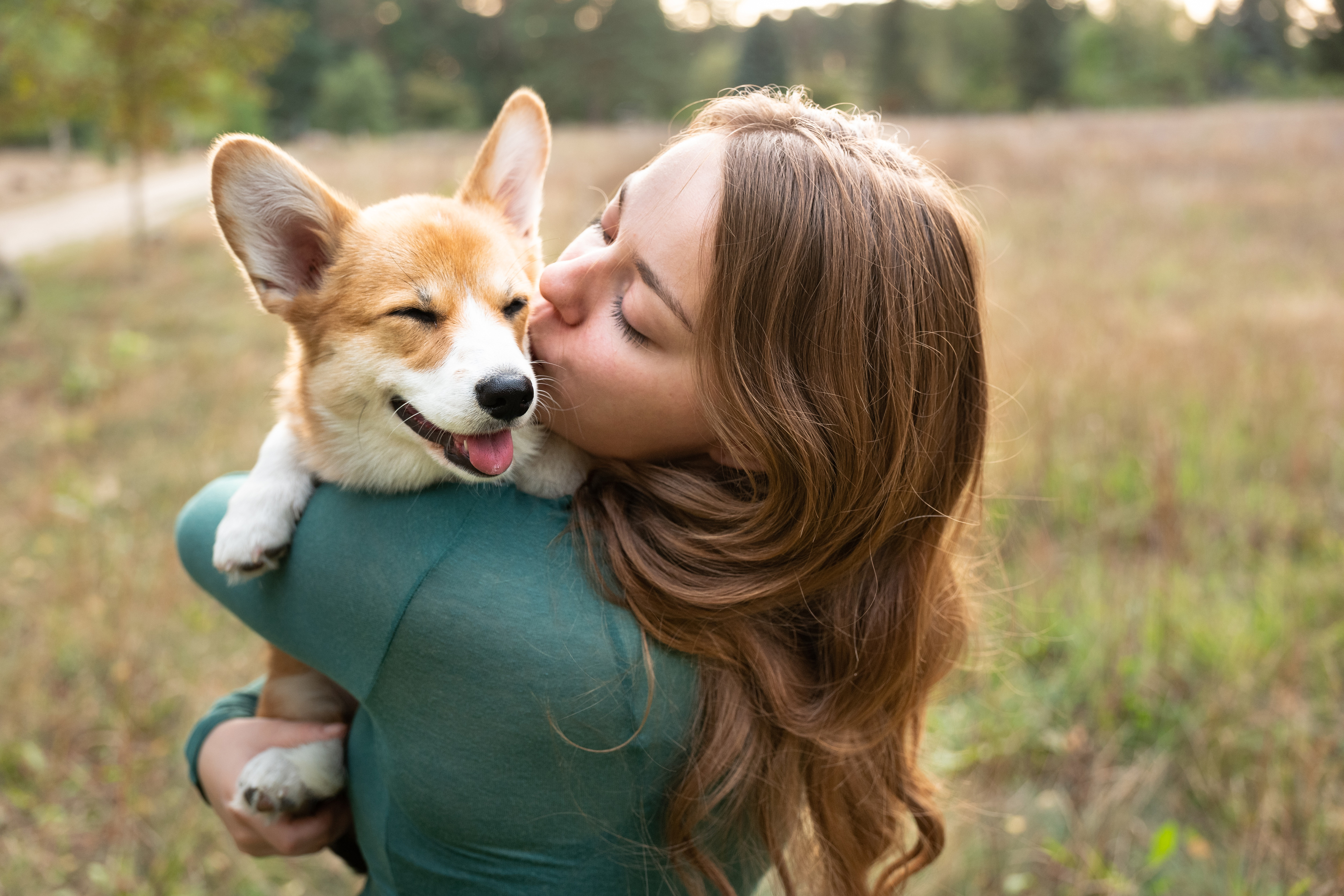 Hunde­kran­ken­ver­si­che­rung