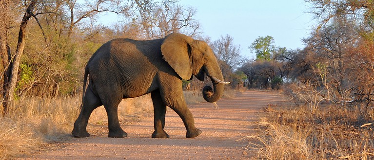 Reiseversicherung Südafrika