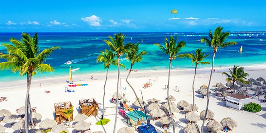 Man sieht einen Strand mit mit vielen Palmen und Sonnenschirmen.