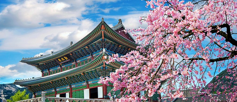 Reiseversicherung Südkorea