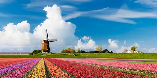 Reiseversicherung Niederlande