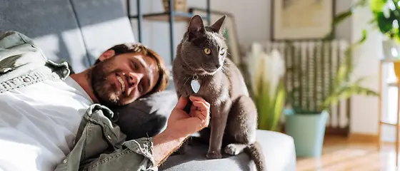 Katzenkrankenversicherung Katzenkrankenversicherung